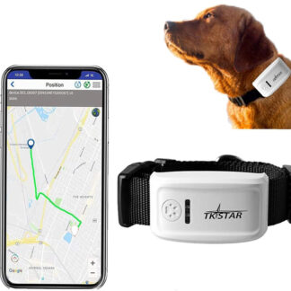 tk909-gps-tracker-chien-chat3